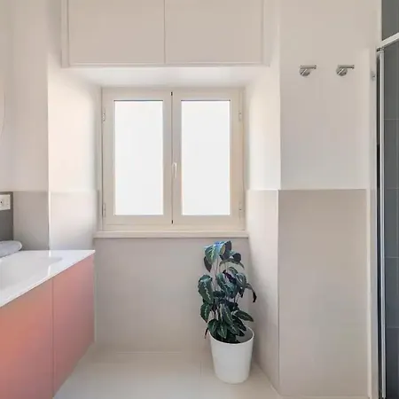 “la Palma Nel Cortile”